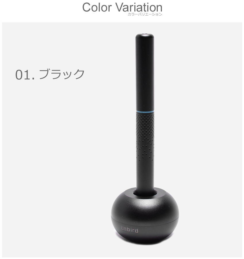 市場 限定クーポン発行中 Pro グリーン Ledライト 黒 軽量 ブラック 耳かき 充電式 M9 カメラ付き イヤースコープ