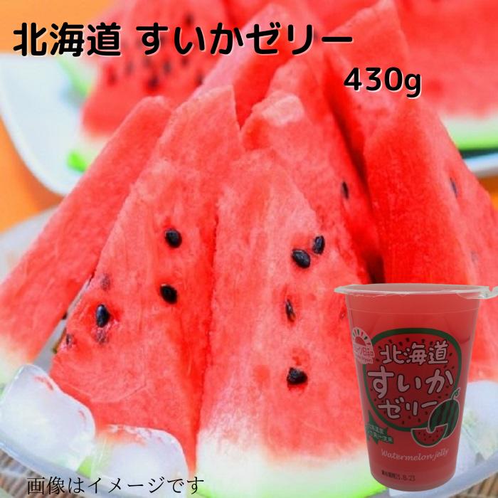 スイカ　氷　アイス　猫　5個セット スイカ 氷 アイス 猫 5個セット