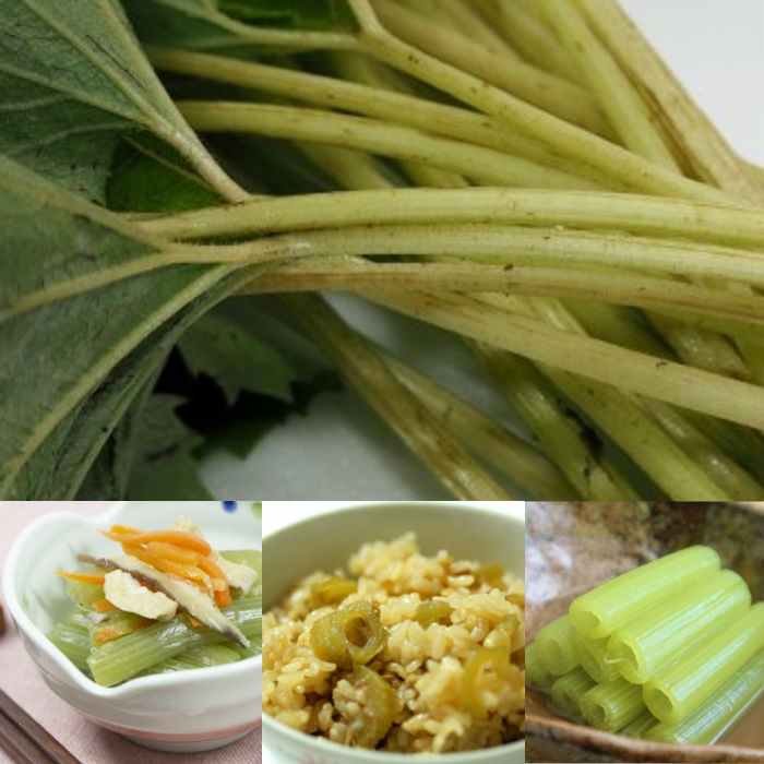 北海道産 やまぶき水煮270ｇ ふき 常温 北海道 お取り寄せ 北海道野菜 長期保存 送料無料