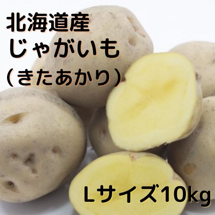 市場 令和4年度産 送料無料 じゃがいも 贈り物 10Kg 北海道産 Lサイズ きたあかり 予約商品 ギフト