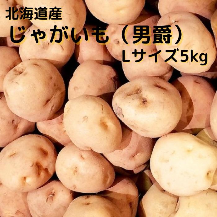 市場 令和4年度産 だんしゃく 予約商品 送料無料 5Kg 北海道産 贈り物 ギフト 北海道野菜 じゃがいも Lサイズ