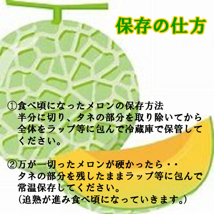 留保物品 北海道造り出す 赤肉メロン 4 6鶏卵始り 送料無料 贈りもの 祝儀 配り物 メロン 北海道 北海道メロン 北海道時節の食味 お中元 北方 めろん Daemlu Cl