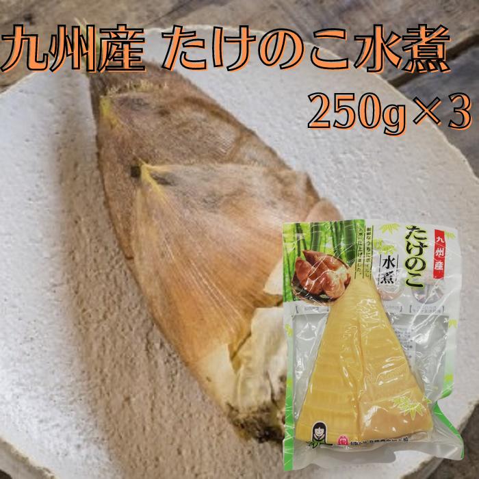 市場 九州産 たけのこ水煮 簡単便利 常温 送料無料 国産野菜 250ｇ×3個 長期保存 トライカット