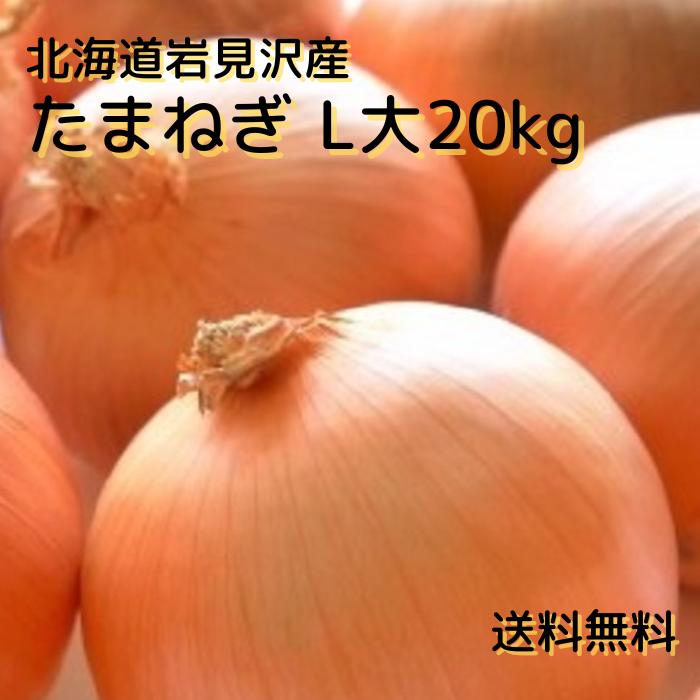 楽天市場】北海道産 たまねぎ Ｌサイズ 20kg (10kg箱×2箱） 送料無料