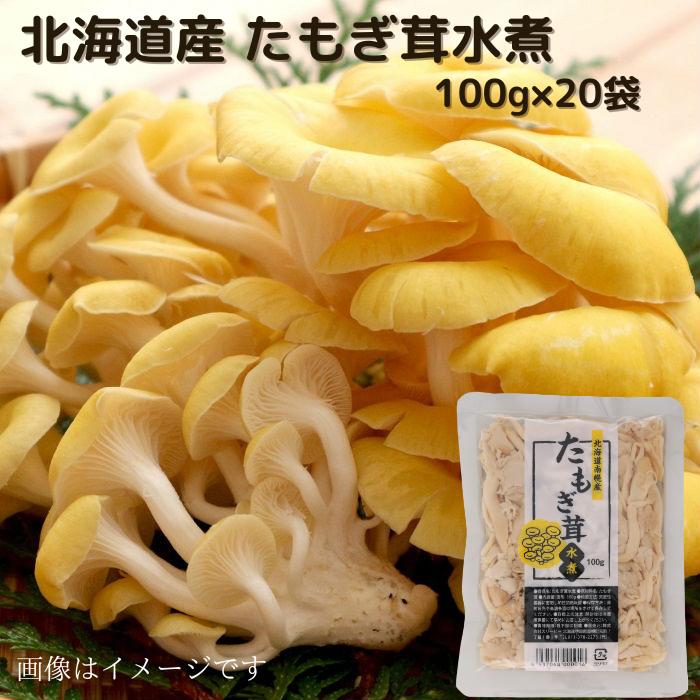 北海道産 たもぎ茸水煮 100g×20袋 送料無料 お取り寄せ 北海道 北海道野菜 長期保存 常温 水煮きのこ きのこ 水煮 水煮野菜 野菜  ご当地 たもぎ たもぎ茸 たもぎだけ タモギダケ タモギ茸 タモギタケ たもぎたけ