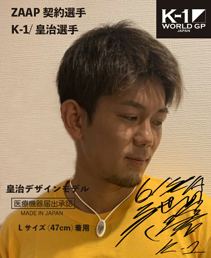 キックマン 格闘技ファン のroom 欲しい に出会える キックマン 格闘技ファン のroom 欲しい に出会える