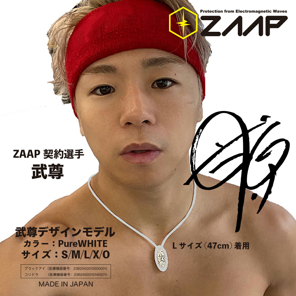 武尊 3階級制覇限定モデル ZAAP ネックレス - メルカリ