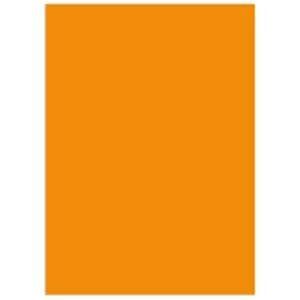 北越製紙 カラーペーパー/リサイクルコピー用紙 【A5 500枚×10冊】 日本製 オレンジ｜雑貨のお店　ザッカル