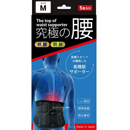 楽天市場】高機能サポーター 究極の腰 Lサイズ 1枚入 : ドラッグストア