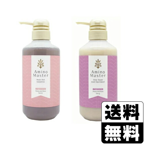 モイストリッチシャンプー 10本セット アミノマスター モイストリッチシャンプー 500mL #83374 | アミノ