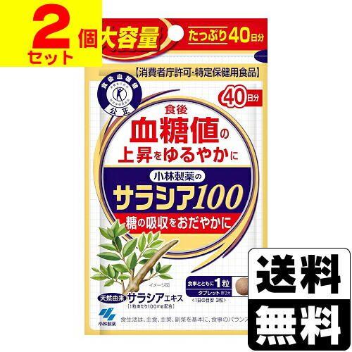[小林製薬]小林製薬のサラシア100 120粒【2個書き割り】