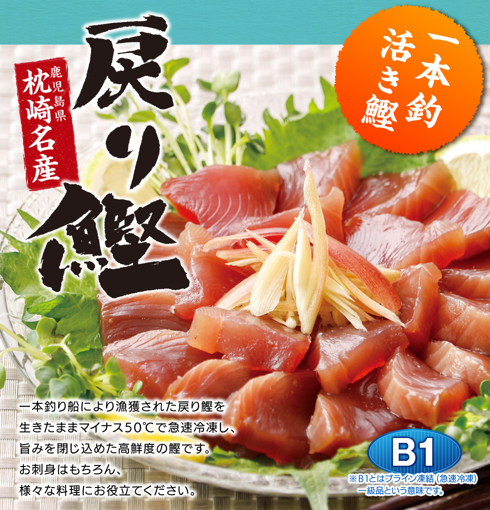 楽天市場 P2倍 当日出荷 戻り鰹 カツオ 鰹 900g 3本 冷凍 送料無料 枕崎名産 刺身 おかず おつまみ ギフト 生食用 財宝 財宝公式通販 楽天市場店