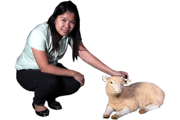 楽天市場】くつろぐ子ひつじ Merino Lamb Resting 強化プラスチック