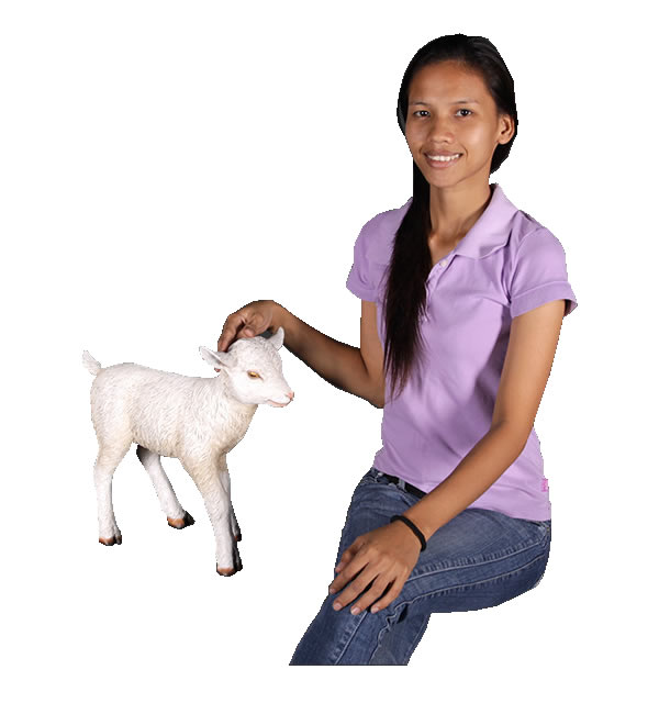 楽天市場】ヤギの赤ん坊 Goat-Kid Standing 強化プラスチック