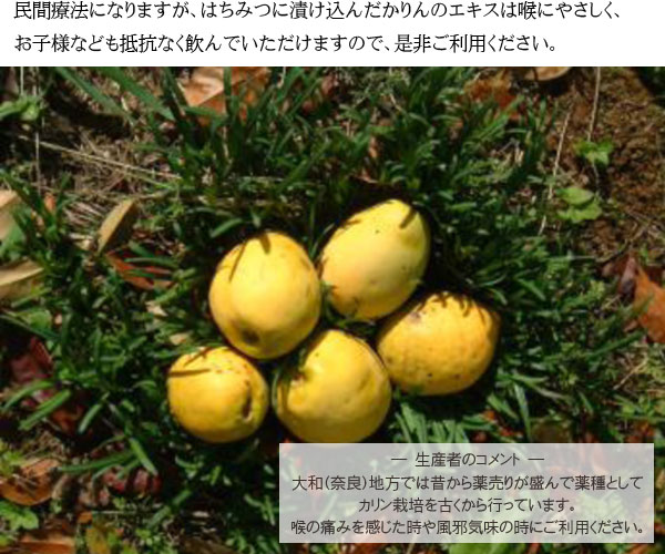 楽天市場 かりんの蜂蜜漬350g かりん はちみつ漬け カリン 花梨 ハチミツ 花梨蜂蜜漬 のど 奈良県 送料無料 ディアサーナ雑貨インテリアライフ