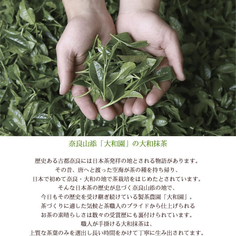 限定モデル 抹茶 スイーツ 大和抹茶テリーヌ ケーキ 濃厚 抹茶ケーキ お菓子 高級 母の日 父の日 敬老の日 誕生日 お祝い お礼 ギフト 洋菓子 奈良祥樂 奈良県産 送料無料 Whitesforracialequity Org