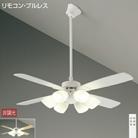 ライトブラウン/ブラック 大光電機 期間限定特価 大光電機 ダイコー