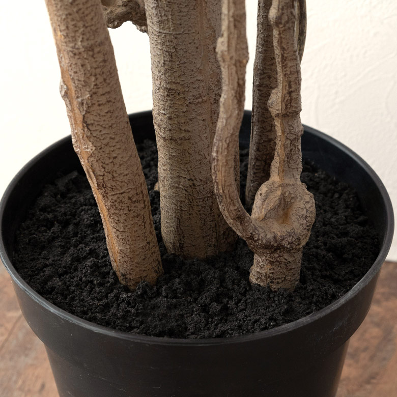 楽天市場 ポリシャス ポリスキアス フェイクグリーン 高さ0cm 造花 観葉植物 フェイク アーティフィシャルプランツ グリーン ボタニカル インテリア ポリスキアス 木 生活雑貨のネットショップelements 楽天市場 ポリシャス ポリスキアス フェイクグリーン 高さ0cm 造花 観葉植物 フェイク アーティフィシャルプランツ グリーン ボタニカル インテリア ポリスキアス 木 生活雑貨のネットショップelements