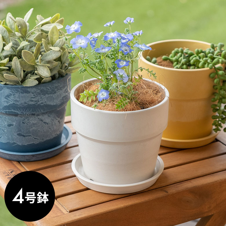 植木鉢 8号 4個セット 吊り下げ可能 ポット プランター 黄色 イエロー 植木鉢 8号 4個セット 吊り下げ可能 ポット プランター 黄色