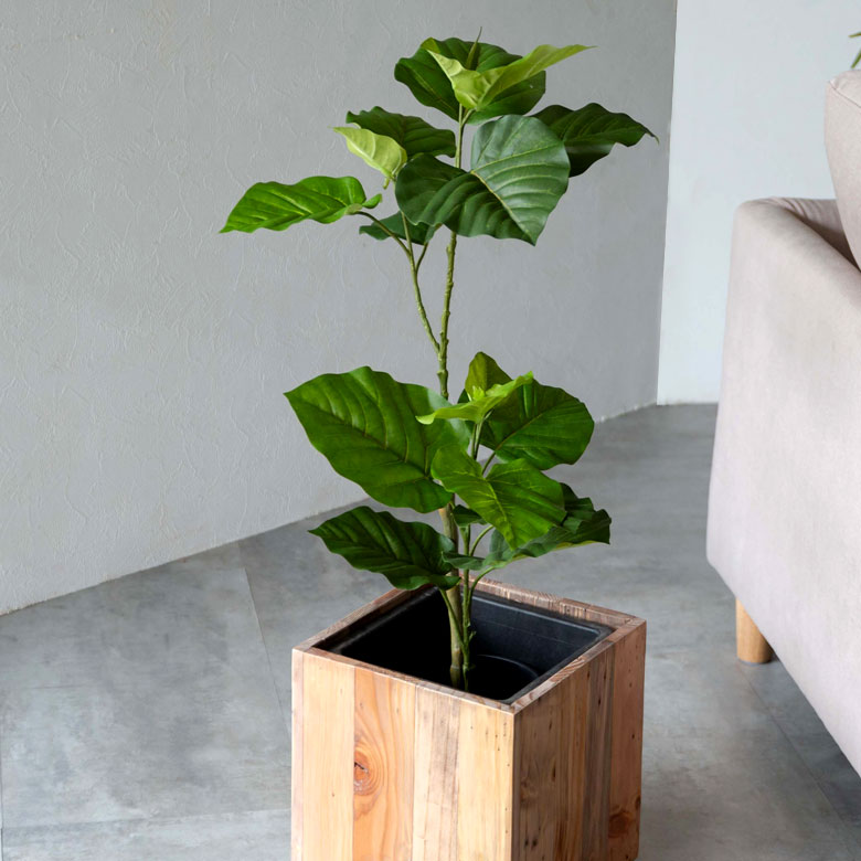 楽天市場 フェイクグリーン フィカス ウンベラータ 高さ 70cm 鉢付き 観葉植物 グリーン アーティフィシャルプランツ フェイクプランツ ポット付き ボタニカル インテリア おしゃれ ナチュラル リビング 寝室 玄関 カフェ 店舗 リゾート 生活雑貨のネット
