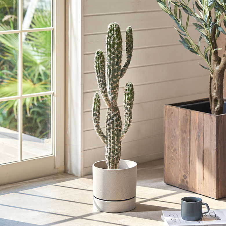 楽天市場】男前インテリア サボテン 人工観葉植物 フェイクグリーン