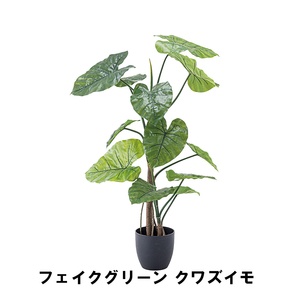 【値下げ】フェイクグリーン クワズイモ 幅57 奥行57 高さ117cm 造花 人工観葉植物 ガーデン ガーデン用品