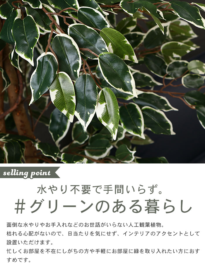 数量限定 特売 観葉植物 人工 フェイクグリーン フィカス 高さ 170cm 7号鉢対応 人工 造花 フェイク グリーン シンプル オフィス 観葉 植物 鉢植え インテリア 大型 高い 大きい 室内 鉢 お手入れ 不要 間仕切り 目隠し リビング ザッカーグplus いいもの見つけた