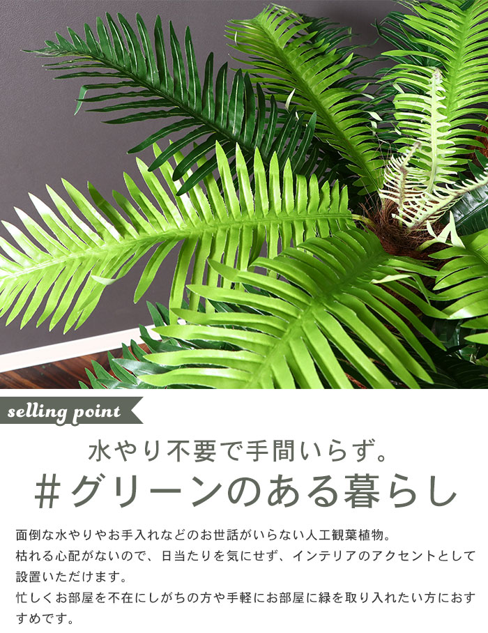 楽天市場 観葉植物 人工 フェイクグリーン シダ 高さ 147cm 7号鉢対応 人工 造花 フェイク グリーン シンプル オフィス おしゃれ 観葉 植物 鉢植え インテリア 大型 高い 大きい 室内 鉢 お手入れ 不要 間仕切り 目隠し リビング ザッカーグplus いいもの見つけた