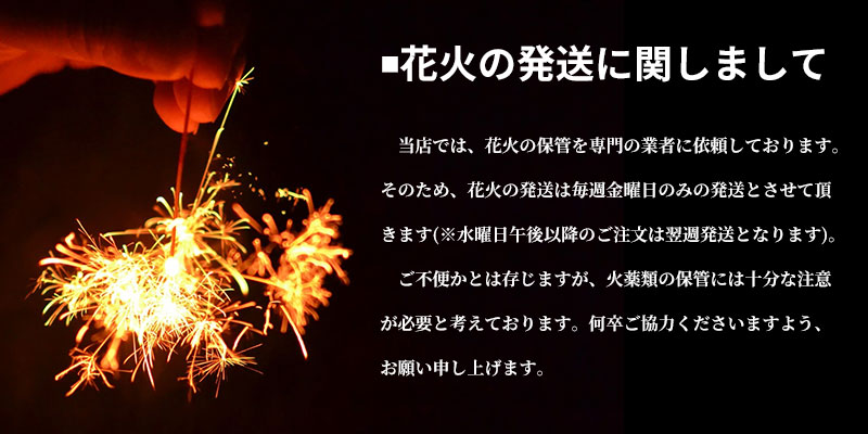 フェニックス No 6000 火工品 手持ち 一組 手持ち花火 初等学校血脈 洟垂目的 戴き物 園 佐野花火ストアー Damienrice Com