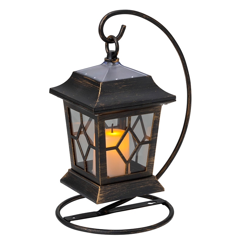 ライト・ランタン djadjariensis ライト・ランタン