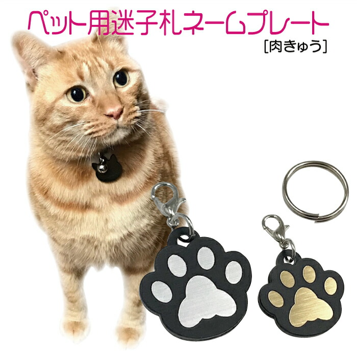 市場 迷子札 アクリル製 小型犬 電話番号 プレート 猫 名前