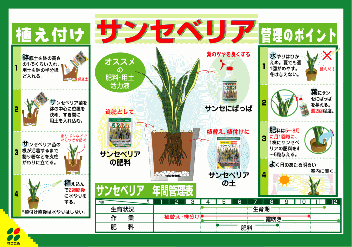 楽天市場 用土 サンセベリア トラの尾 の土 5l 花ごころ Zakka来福june