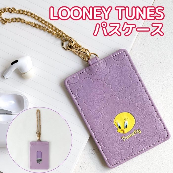 カナダ 1996年未流通 ルーニー　専用ケース カナダ 1996年未流通 ルーニー 専用ケース カナダ 1996年未流通コイン