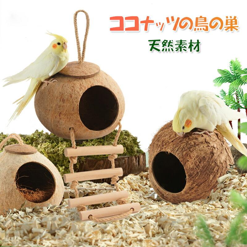 楽天市場】鳥の巣 ココナッツ殻製バードハウス 小鳥のハウス 小動物用