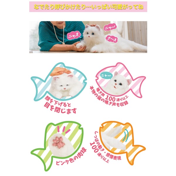値引き あなたのパートナー しっぽふりふり あまえんぼうねこちゃん ミックスブラウン fucoa.cl