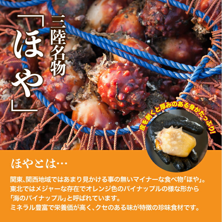 蒸しホヤ450g 食べだしたら止まらない酒泥棒 ホヤ刺身 新鮮とれたて 蒸しほや晩酌 開けるだけで簡単酒のつまみ 宮城県女川産