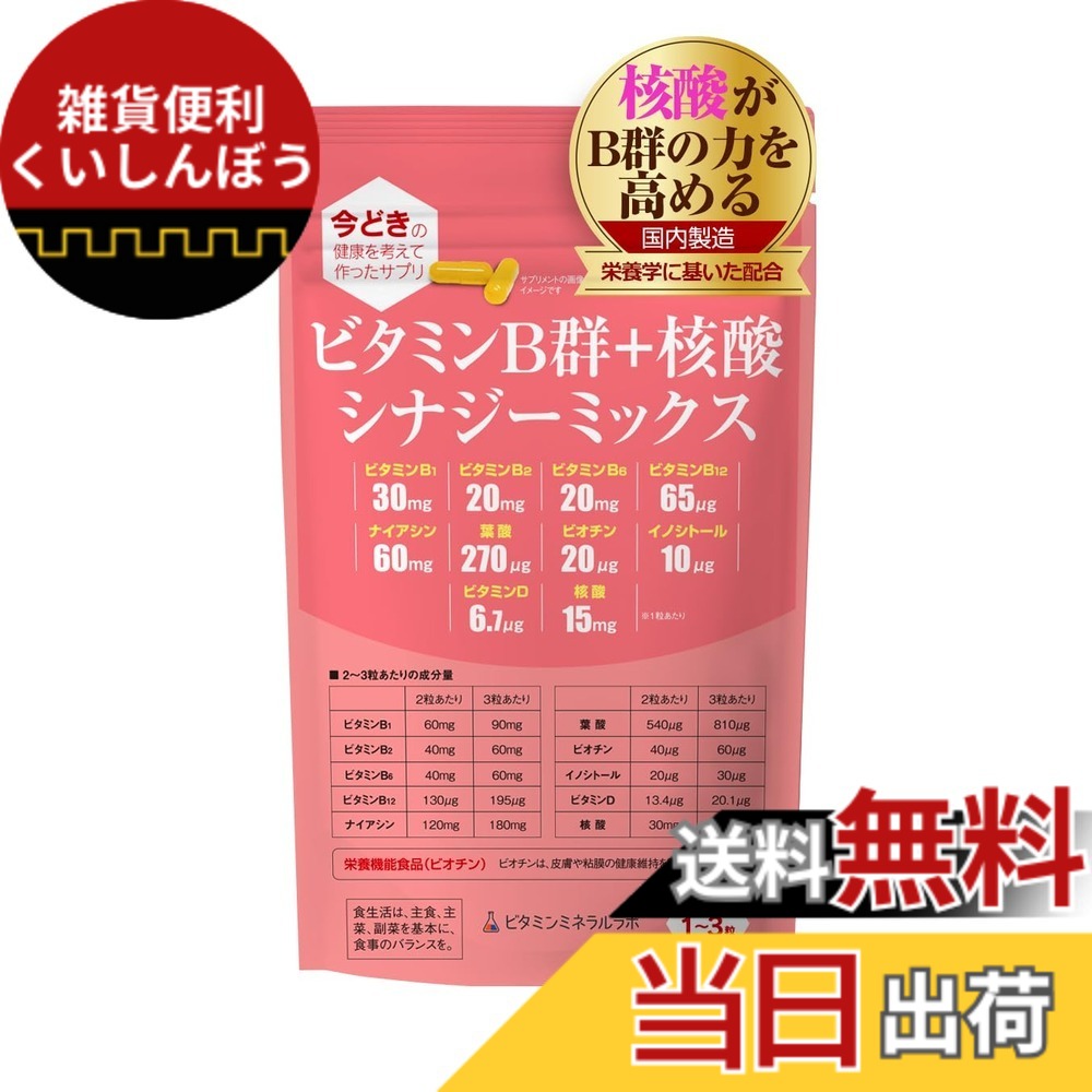 【送料無料】ビタミンB群+核酸 シナジーミックス サイズ:1袋