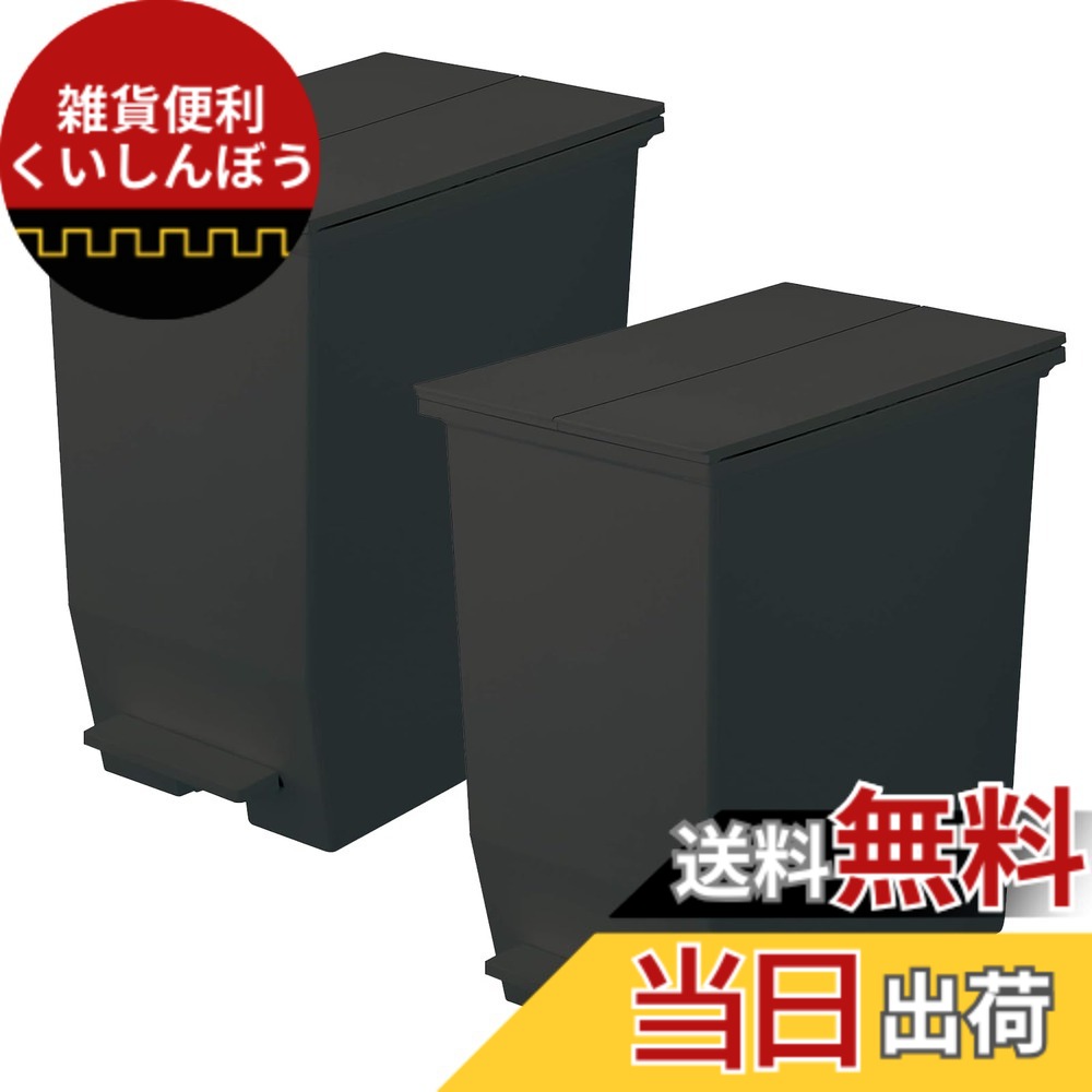 【送料無料】リス(RISU) ソロウ ゴミ箱 ふた付き ペダルオープン 両開き 抗菌 加工 日本製 おしゃれ キッチン 分別 スリム キャスター付き ダストボックス カップボード バリエーション 色：ブラック、サイズ：45L
