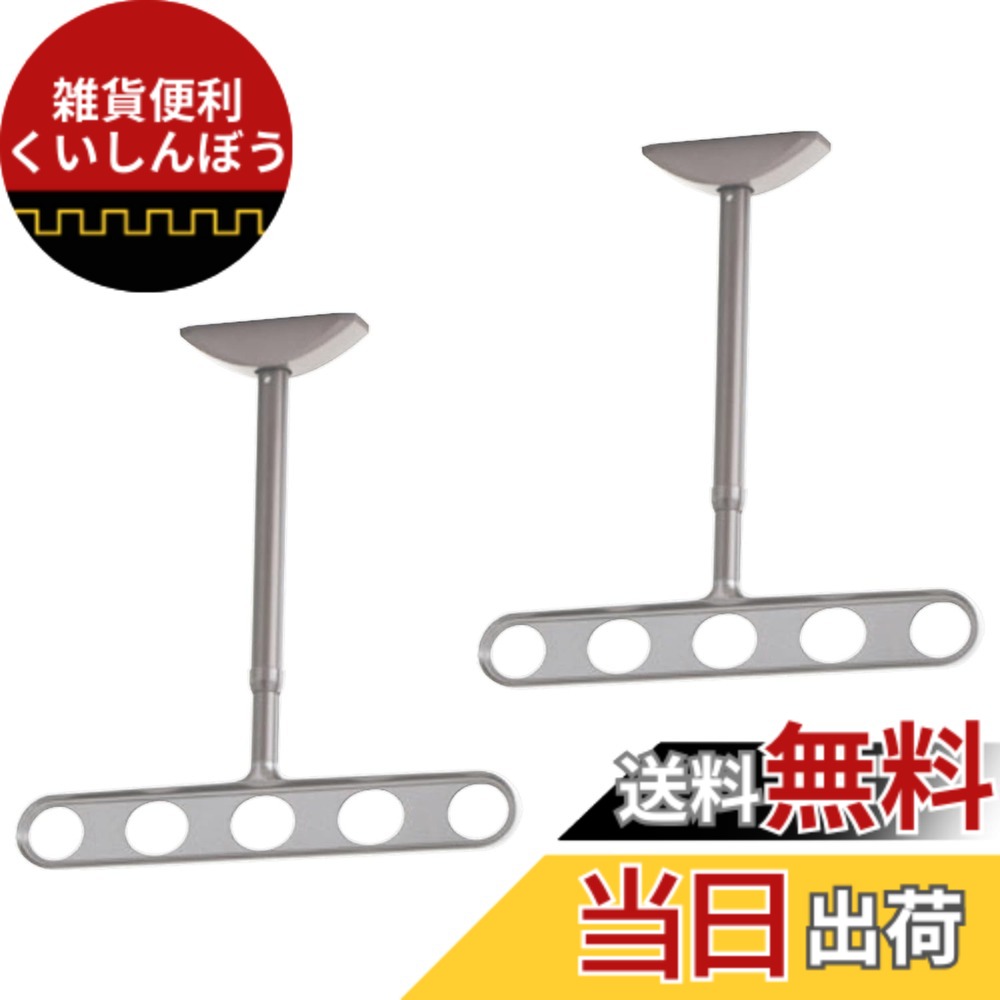 【送料無料】川口技研 軒天用物干し ホスクリーン ZA-0645-ST ステンカラー 2本1組