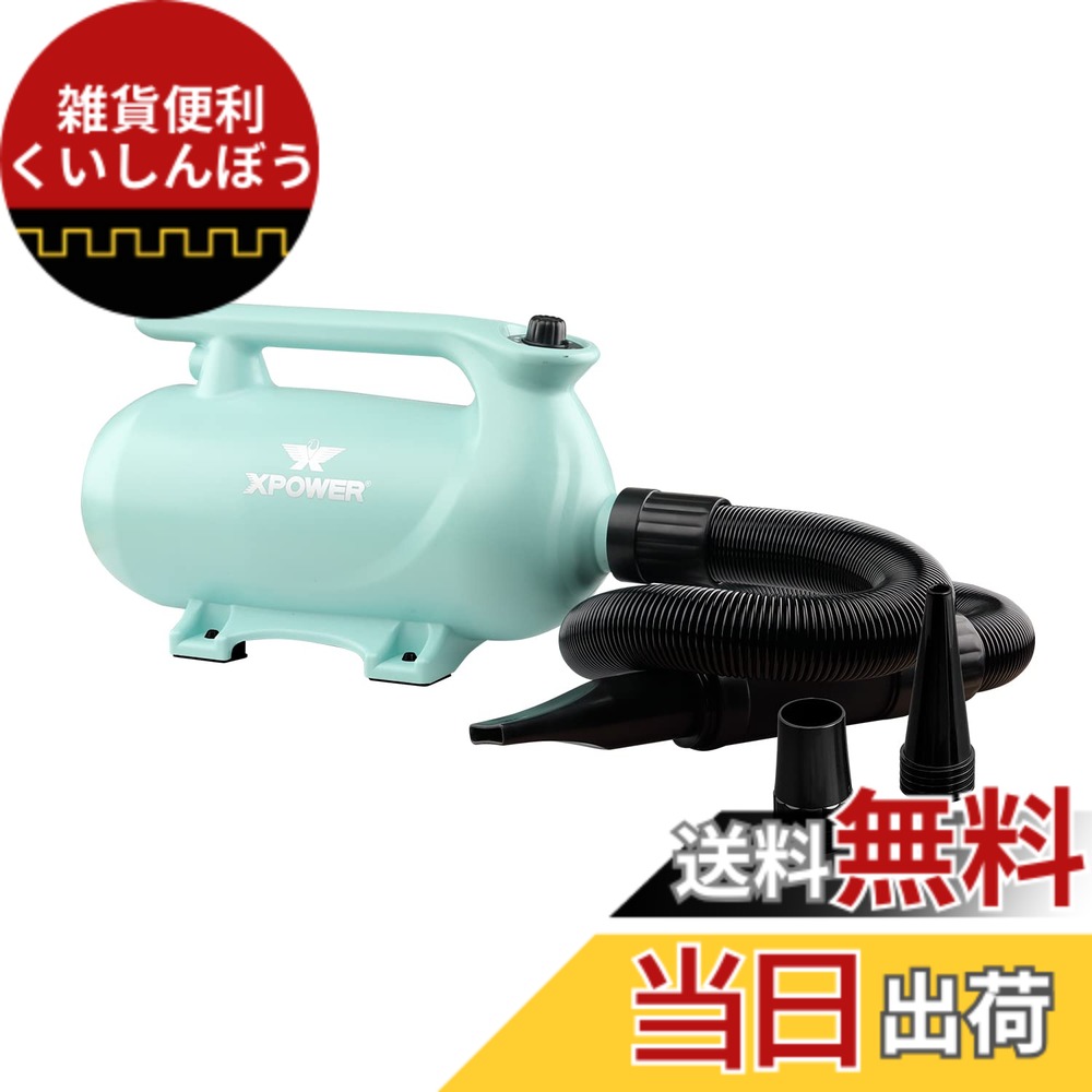 【貨物輸送無料】XPower B-163愛玩動物ドライヤー 低騒々しい音 二度合い調節する能力のあるな熱据え付ける 参のノズル付き添い人 持ちはこぶ用愛玩動物用ドライヤー 3色オプション (緑であること)