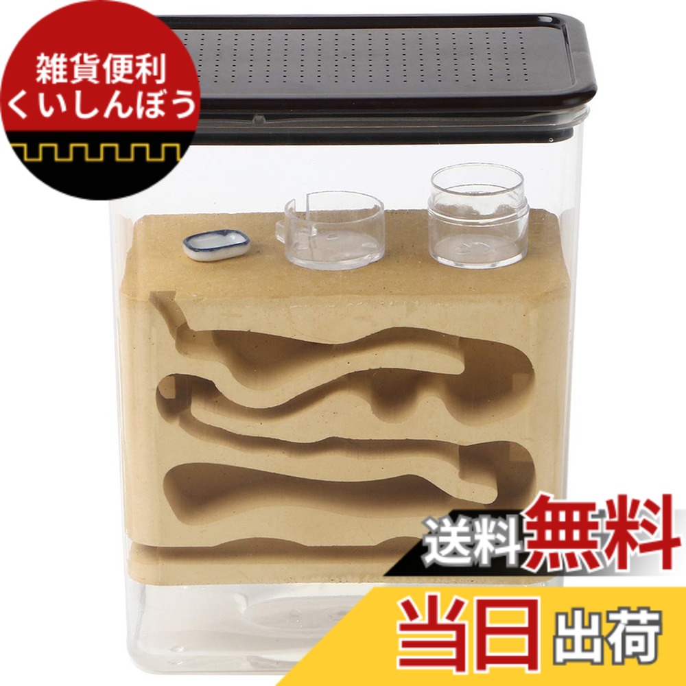 【送料無料】EnergyPower アリ飼育キット 石膏製巣箱 デジタル湿度/温度計付 土やゲルを使用しないので腐らず清潔 お子様でも安心の観察キット 最初から巣ができあがっているので数の多いコロニーでもすぐに生活可能 保湿性が高く湿度管理がしやすい石膏巣の蟻専用飼育ケ