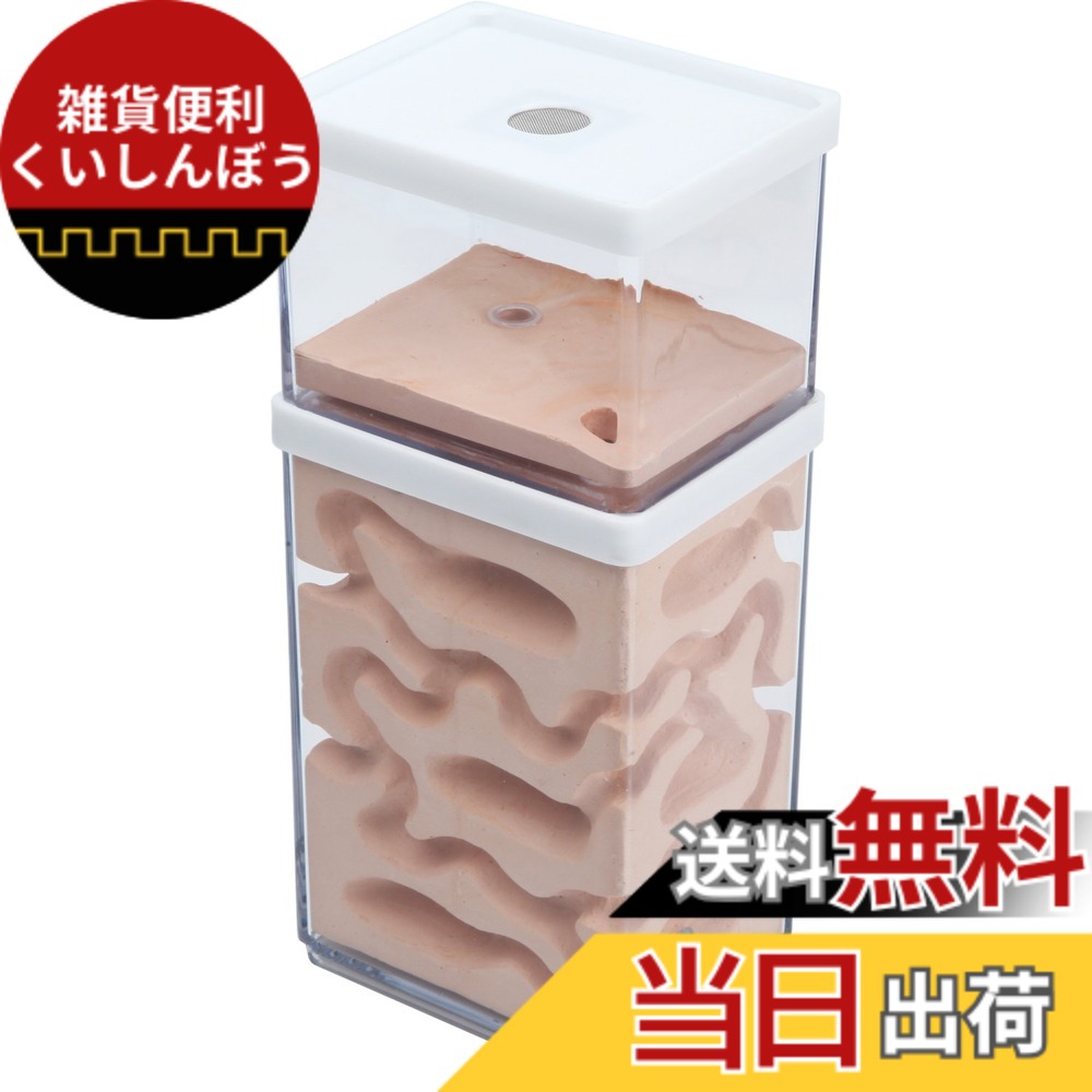 【送料無料】EnergyPower アリ飼育キット 石膏製巣箱 2層式 土やゲルを使用しないので腐らず清潔 お子様でも安心の観察キット 最初から巣ができあがっているので数の多いコロニーでもすぐに生活可能 保湿性が高く湿度管理がしやすい石膏巣の蟻専用飼育ケース 透明アクリ