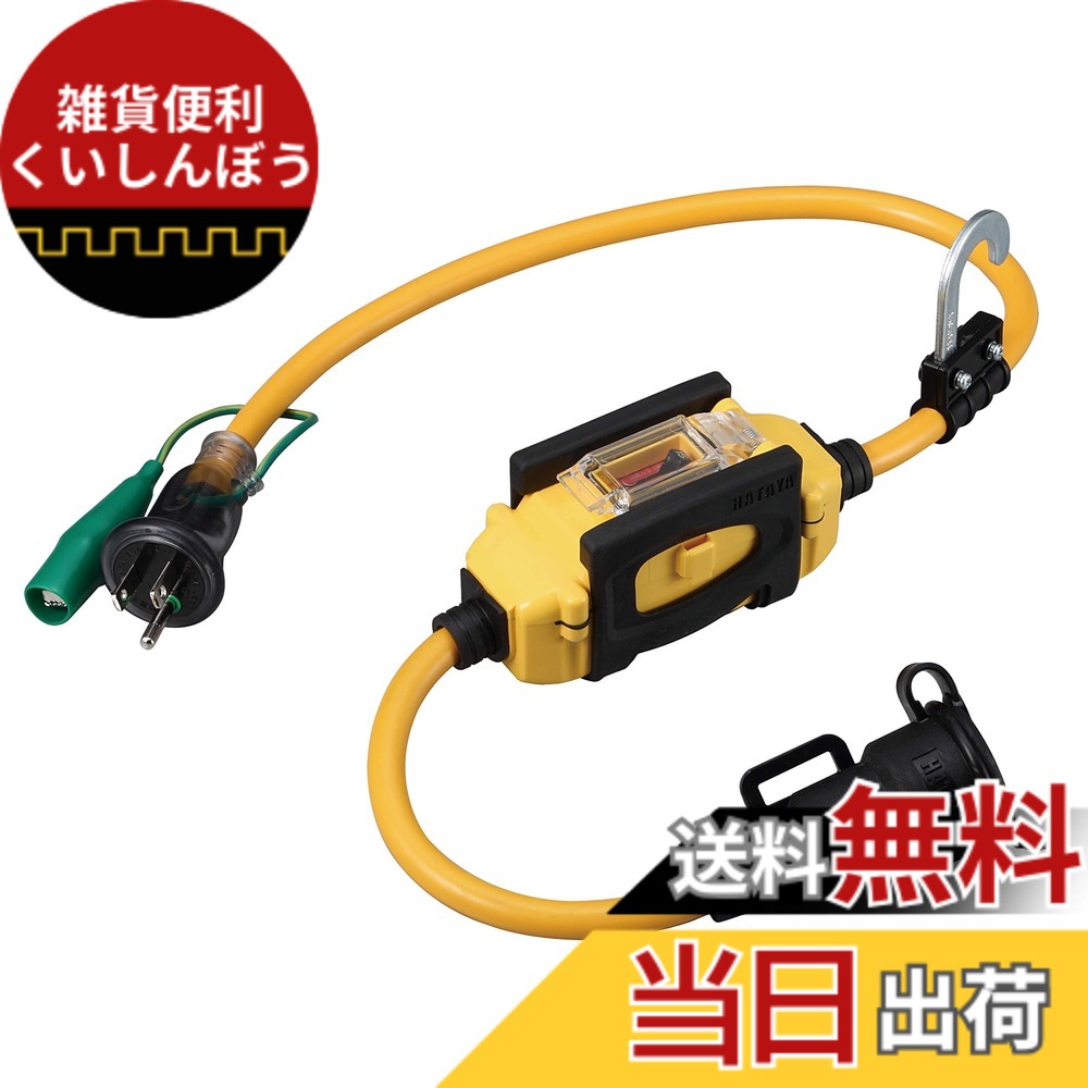【貨物輸送無料】ハタヤ(HATAYA) BFX取りひろげる吊りひも1口差し込み印字機 防雨型(舞い降りる付) BFX011KC