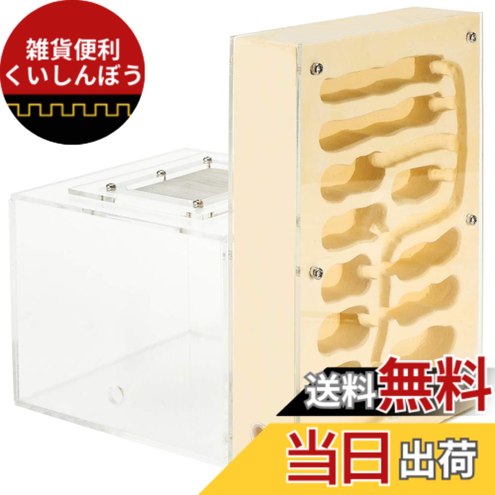 【送料無料】EnergyPower アリ飼育キット 石膏製巣箱 大型 アリ活動スペース付き 土やゲルを使用しないので腐らず清潔 お子様でも安心の観察キット 最初から巣穴ができあがっているので数の多いコロニーでもすぐに生活可能 保湿性が高く湿度管理がしやすい石膏巣の蟻専用