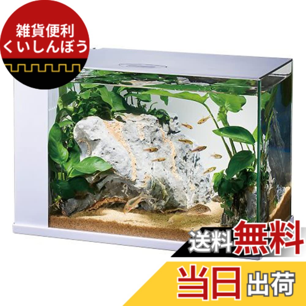 【貨物輸送無料】GEX AQUARIUM ラクテリア 水取り替えっこ飾り気の無い海洋博物館 水漉し・LED付き添い人 W34xD17.5xH24珊白いこと