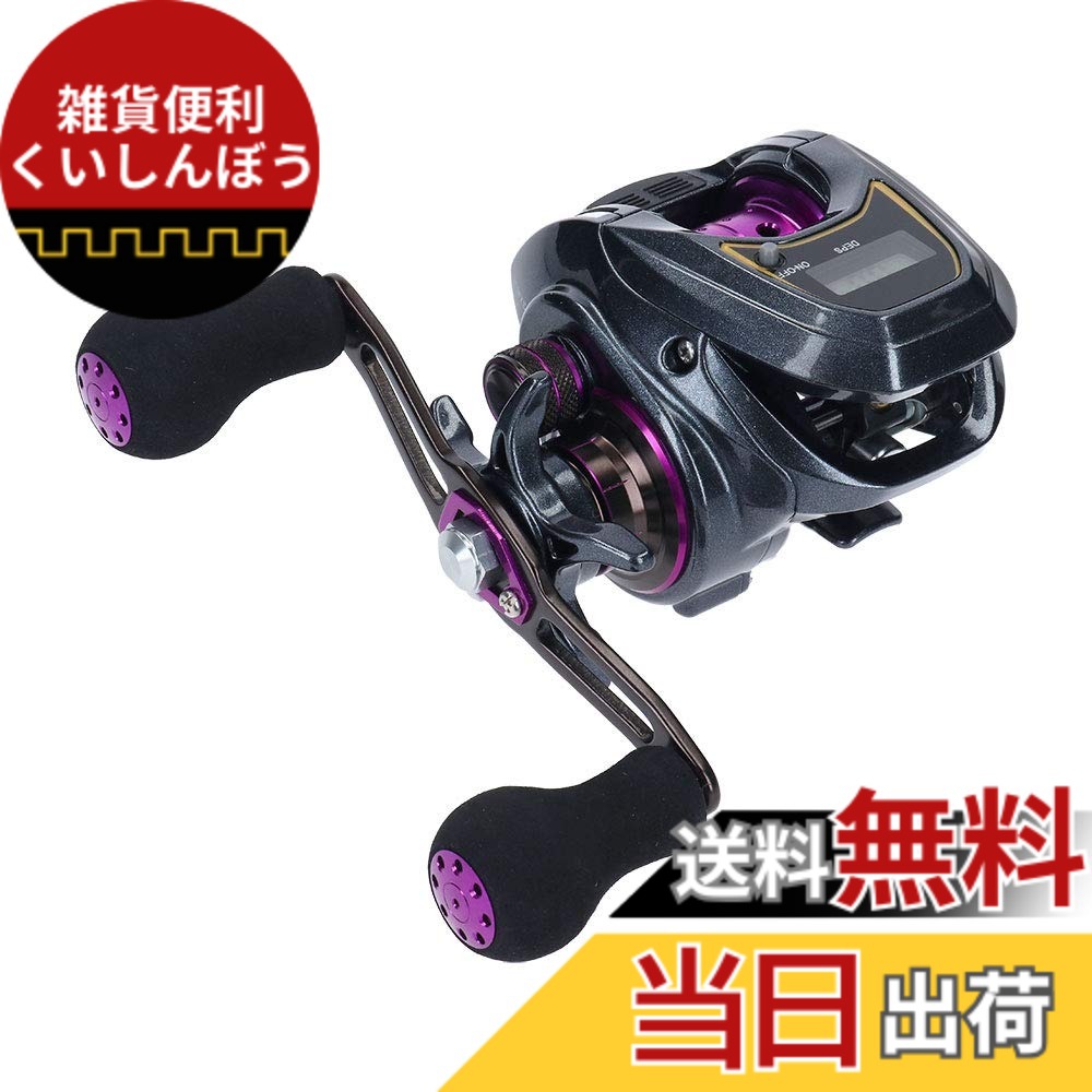 【送料無料】ダイワ(DAIWA) LIGHT SW X IC R カウンター付ベイトリール｜雑貨便利くいしんぼう