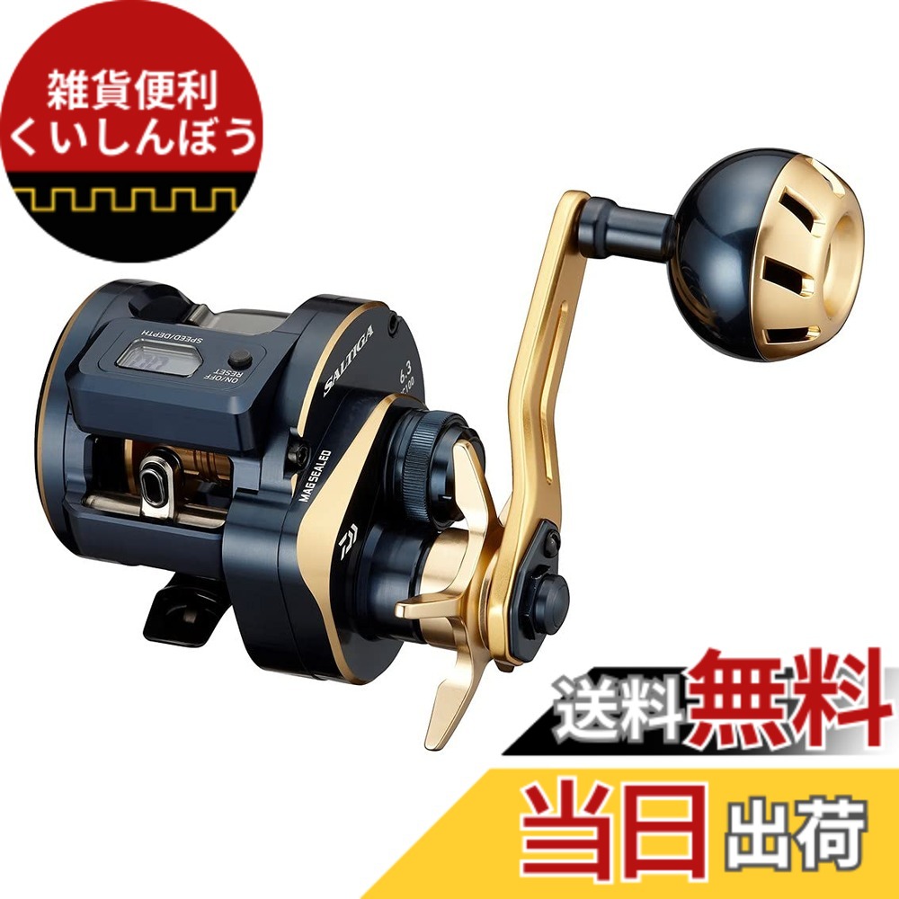 【送料無料】ダイワ(DAIWA) 21 ソルティガIC 100L