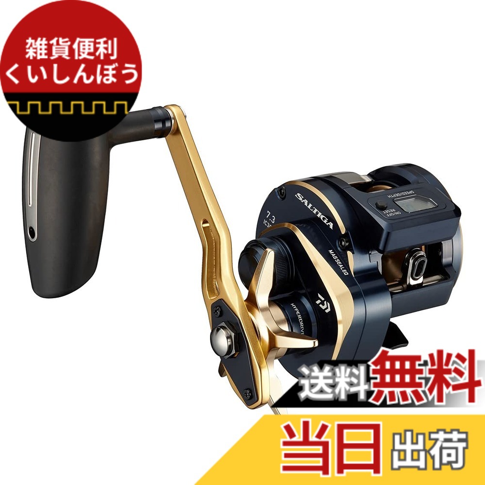 【送料無料】ダイワ(DAIWA) 21 ソルティガIC 300H-SJ|雑貨便利くいしんぼう
