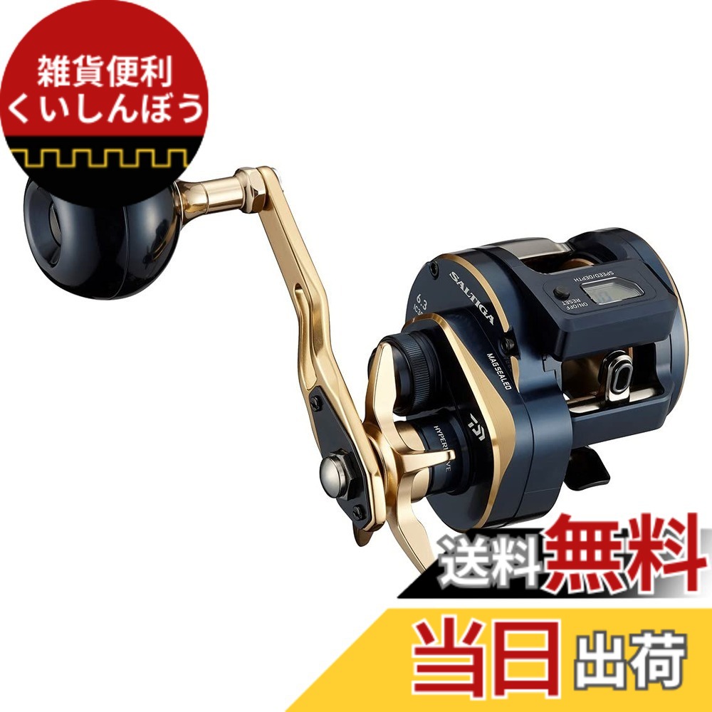 【送料無料】ダイワ(DAIWA) ジギング 21 ソルティガIC 300
