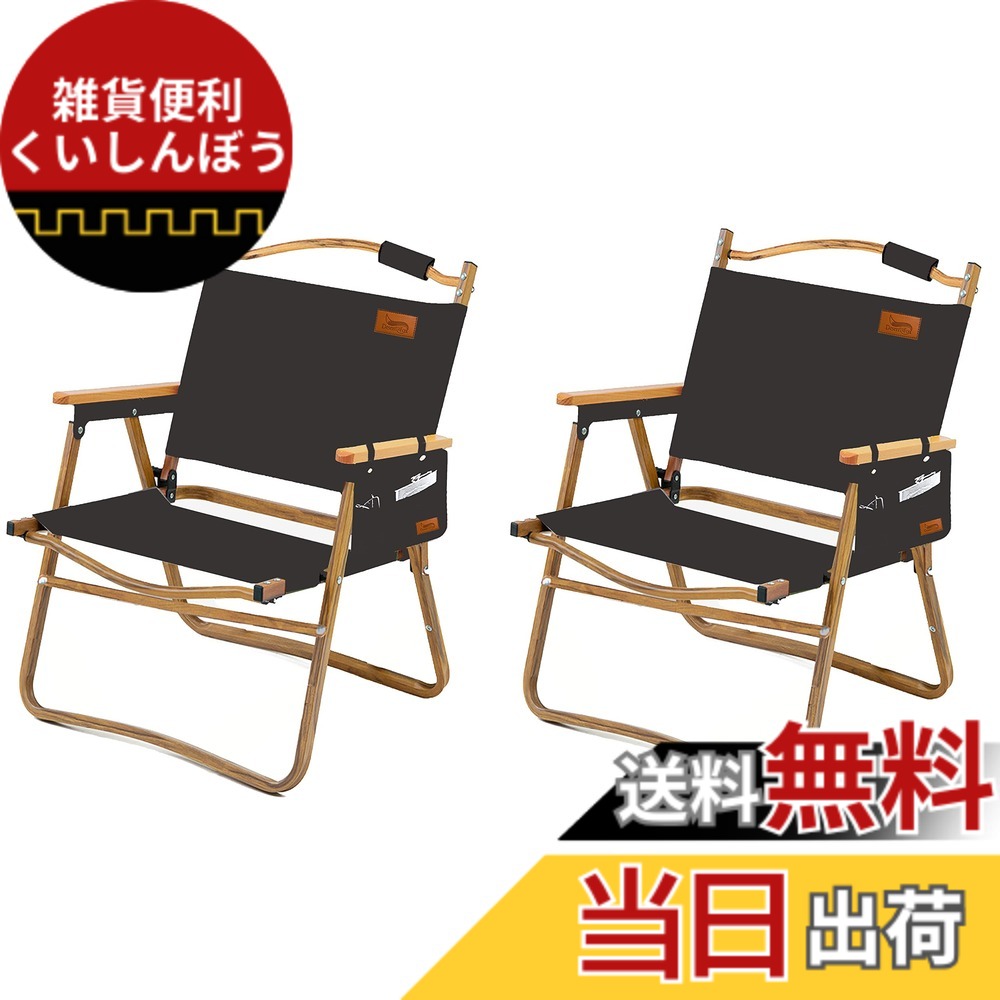 【送料無料】DesertFox アウトドア チェア キャンプ チェア 軽量 2個セット 折りたたみ 椅子 【耐荷重150kg】 四季適用 コンパクト軽量 携帯便利 イス ピクニック キャンプ用 DY001 (くろ，スタイルA)